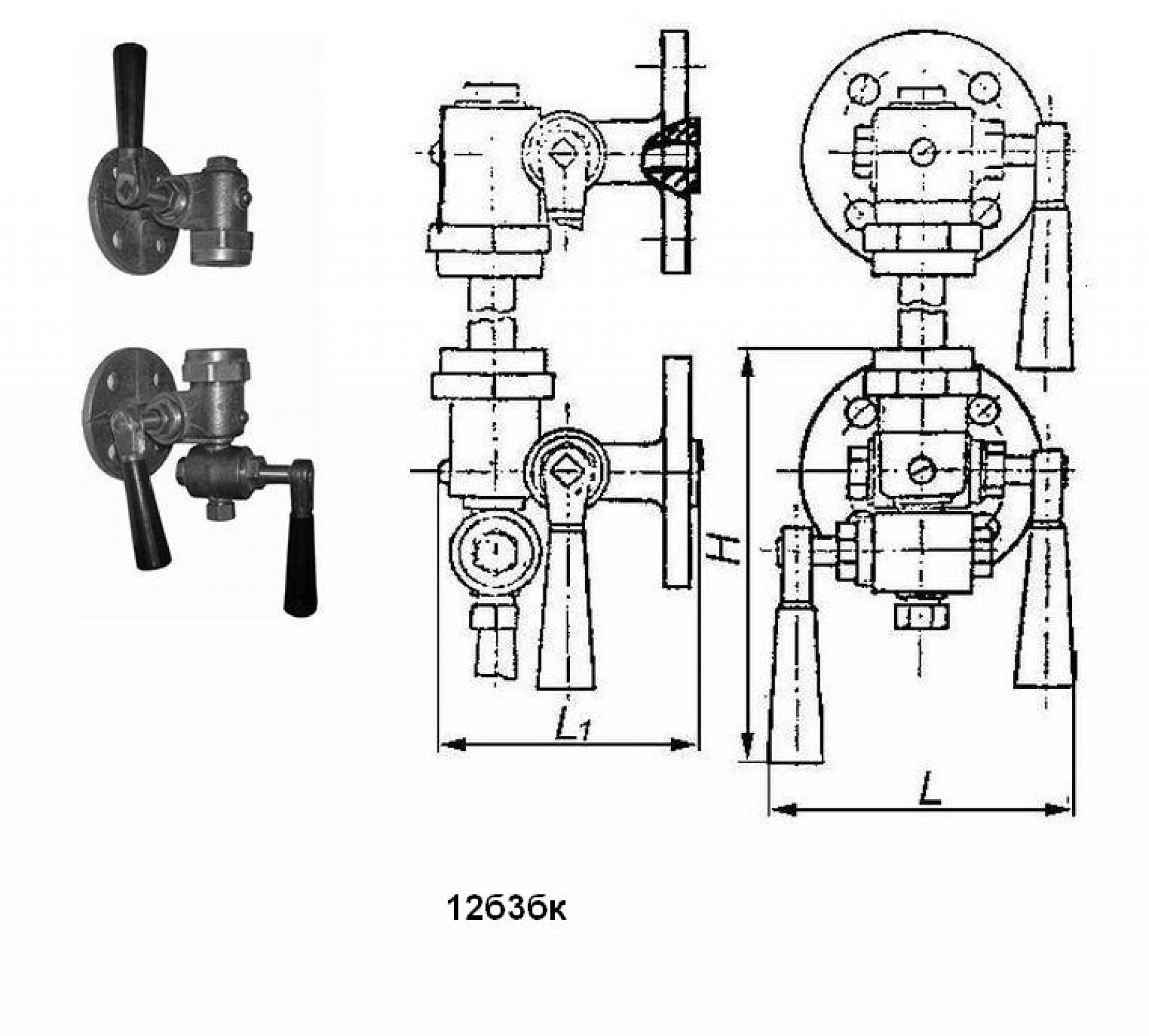 Запорное устройство. Указатель уровня 12б3бк кранового типа. Запорное устройство указателя уровня 12б2бк. Запорное устройство 12б БК. 12б2бк запорное устройство чертеж.